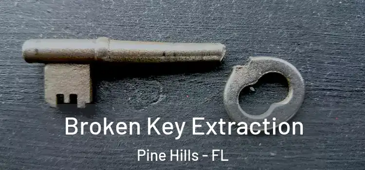 Broken Key Extraction Pine Hills - FL