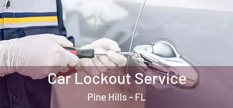 Car Lockout Service Pine Hills - FL