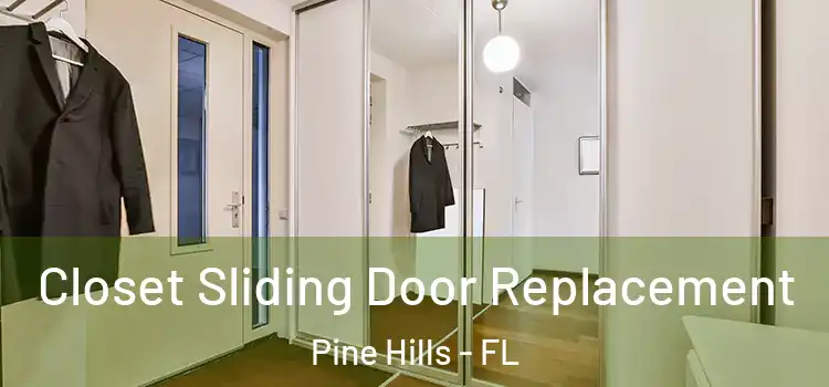 Closet Sliding Door Replacement Pine Hills - FL