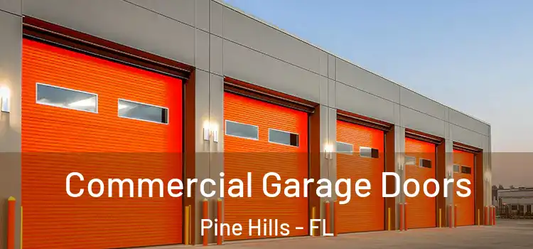  Commercial Garage Doors Pine Hills - FL
