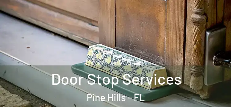 Door Stop Services Pine Hills - FL