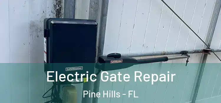Electric Gate Repair Pine Hills - FL