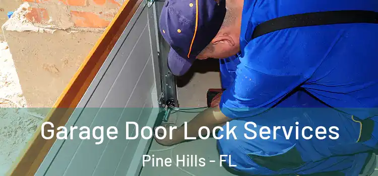 Garage Door Lock Services Pine Hills - FL