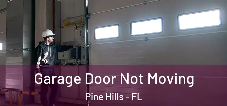  Garage Door Not Moving Pine Hills - FL