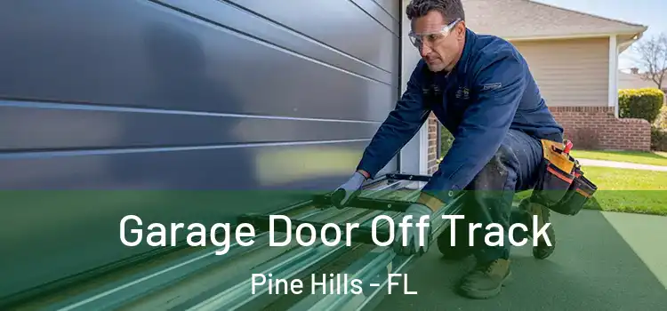  Garage Door Off Track Pine Hills - FL
