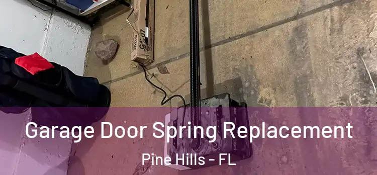  Garage Door Spring Replacement Pine Hills - FL