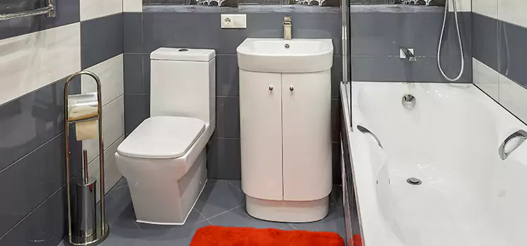 Hansgrohe Shaving Mirror Pine Hills