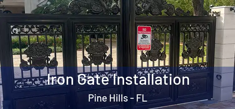 Iron Gate Installation Pine Hills - FL