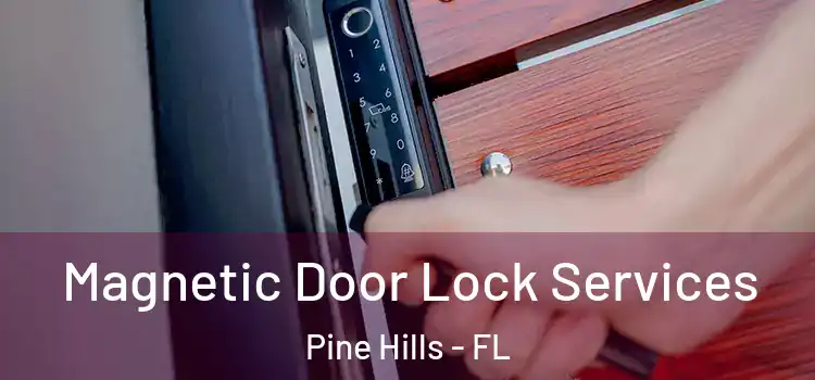 Magnetic Door Lock Services Pine Hills - FL