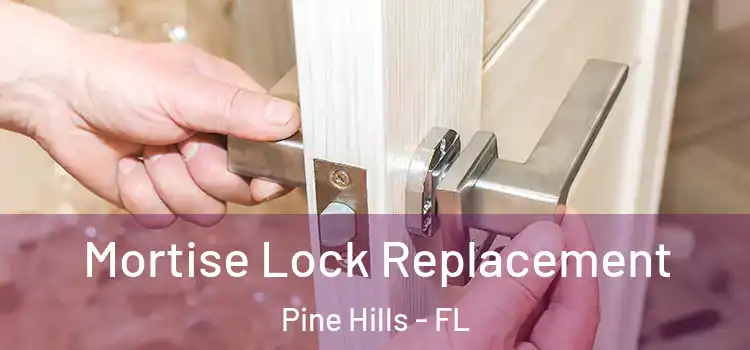 Mortise Lock Replacement Pine Hills - FL