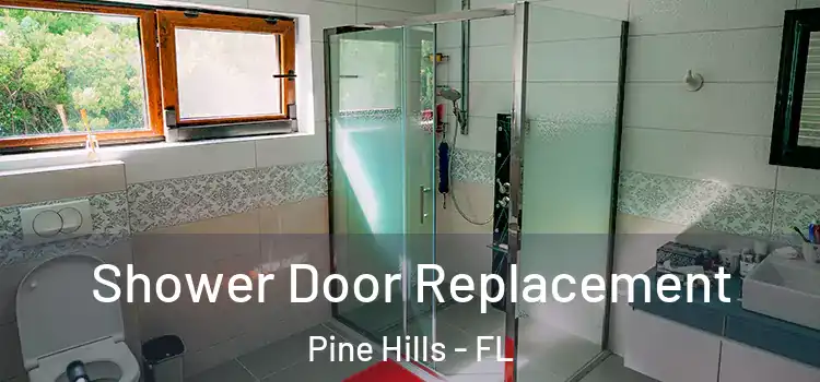 Shower Door Replacement Pine Hills - FL